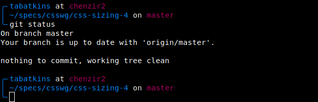 Screenshot of my shell prompt